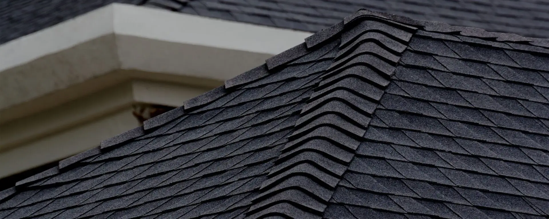 Close-up of dark asphalt shingle roof with white fascia trim