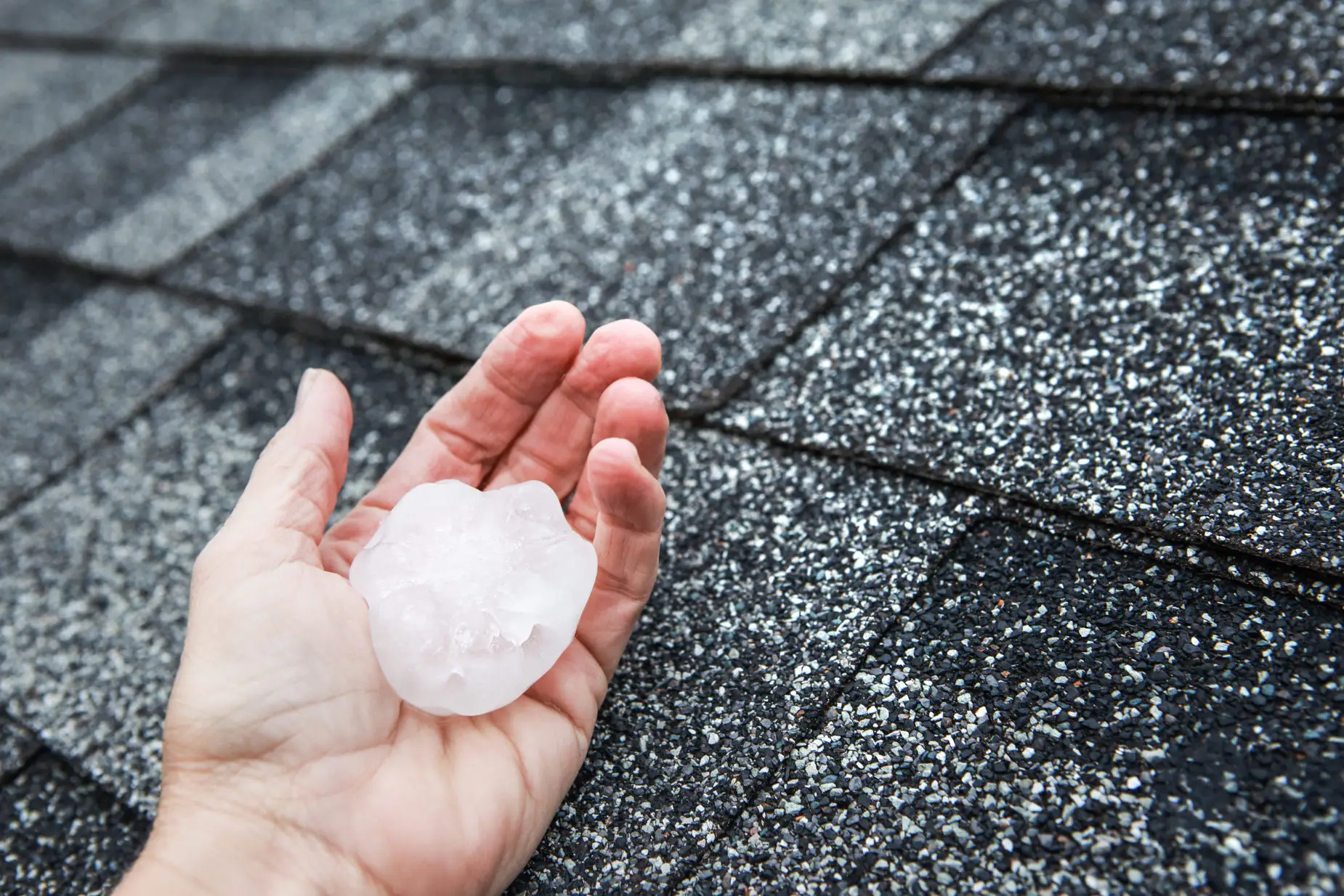 Large hailstone held in palm over asphalt shingle roof