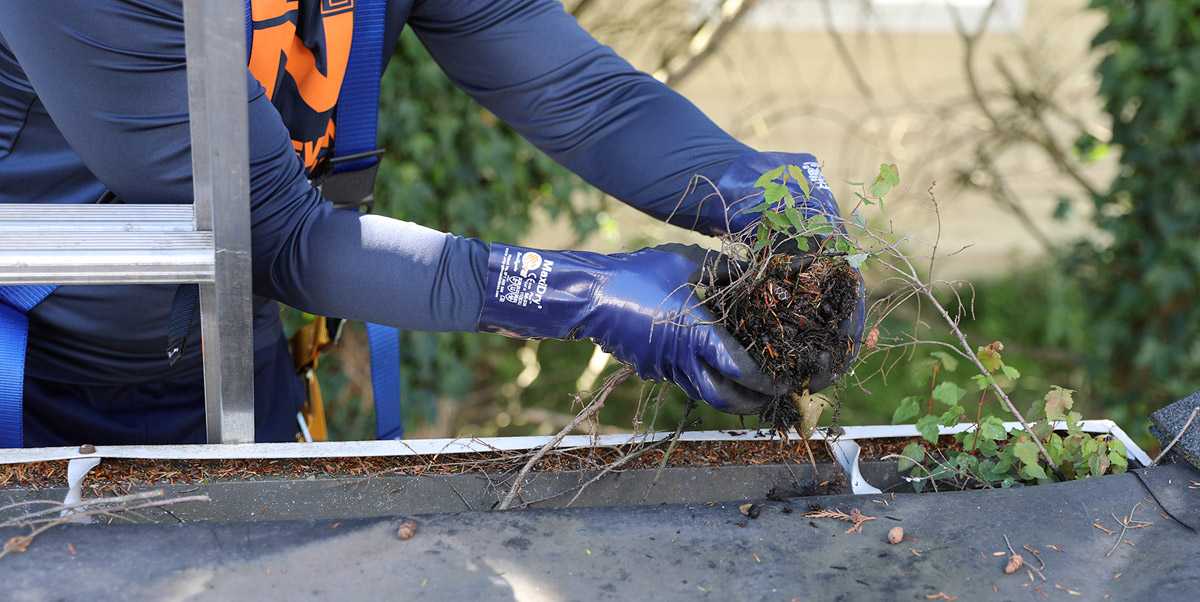 Gutter cleaning on a residential roofline